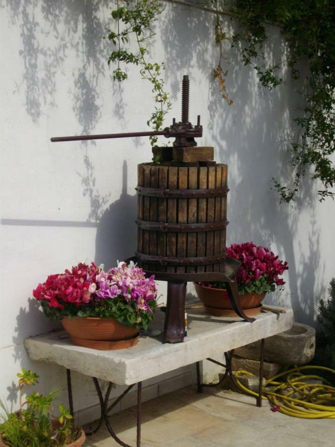 ביצ'לייה B&B Le Coppe מראה חיצוני תמונה